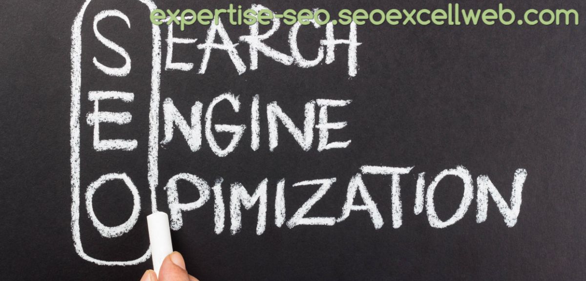 expertise-seo.seoexcellweb.com